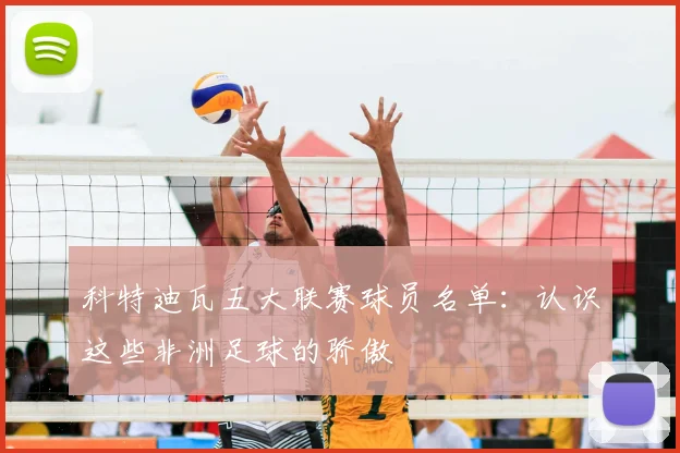 科特迪瓦五大联赛球员名单:认识这些非洲足球的骄傲